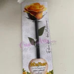 PDF Card Rosa Amarela Mulher Virtuosa - Dia da Mulher