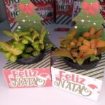 Kit Cesta Natal - Imagem 9