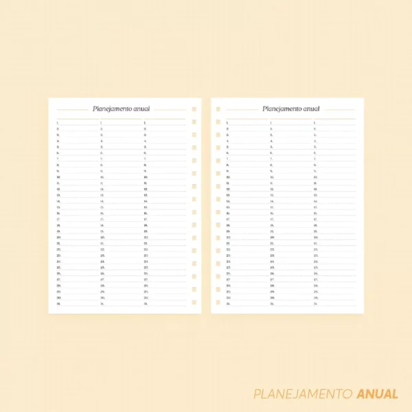 Super Combo Miolos Planner 2024 (Nilmara) - Imagem 18