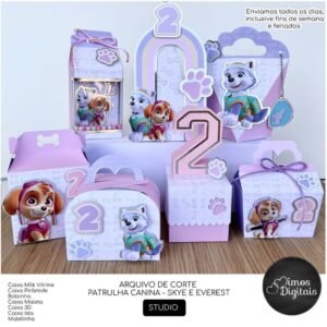 Patrulha Canina Sky e Everest - Kit Festa Pronta
