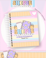 COMBO - Planner Shopee Controlada (Pamella)