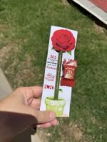 Mimos final de Ano 2025/2026 - Imagem 3