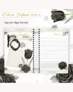 Coleção Profissão 2026 Feminino Preto – Arquivos da Toke - Imagem 36