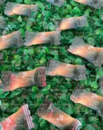 Molde Bala Personalizada – Fadinha Faz Arte - Imagem 2