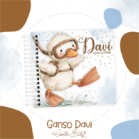 Gansinho Davi – Coletiva 14