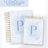 Vintage - Capas Vintage (Pamella)