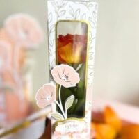 Caixa Rosa – Lar das Flores