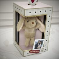 Arquivo de corte Caixa giratoria presentes amor