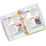 COMBO 90 Planos de Aulas Pré Escola - Imagem 4