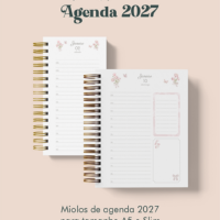 Agenda Coleção Laços & Rosas Wire O 2027