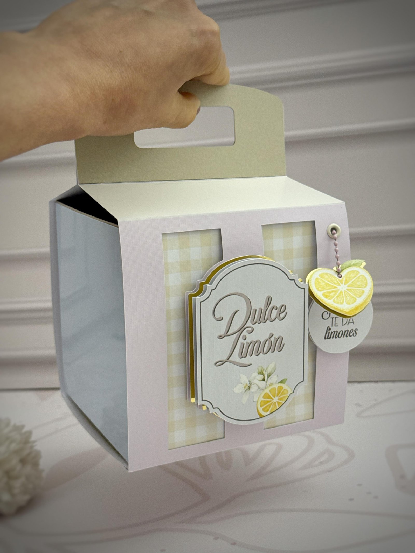 CAJA-BOUTIQUE-DULCE-LIMON Caja Boutique Dulce Limon - Imagem 1