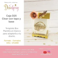 Cajita clear conta paybase