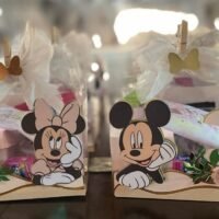 Cajitas de Minnie Muse