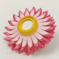 8 Flor de Palha 2