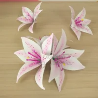 Kit Molde Flor 866