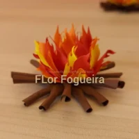 Flor Fogueira