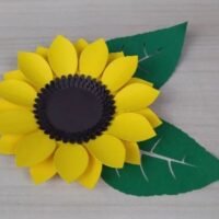 Kit Molde Flor 46