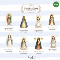 Coleção Santinhos Em Papel de Carta Santa Ideia Volume 1 X6zb7g