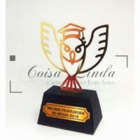 Caixa Troféu Coruja Professor