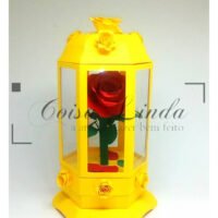 Centro de Mesa A Bela e A Fera