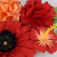 Combo gflor Tropical