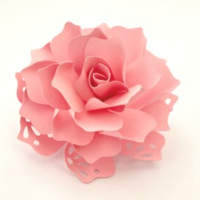 Flor Renda Mod 4