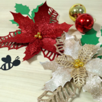 Flor de Natal 76