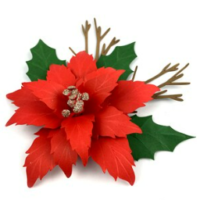 Flor Natal Mod 4