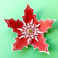 Flor Natal Mod 9