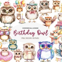 Kit Digital Baby Owl Birthday Owl Party Clipart Bundle