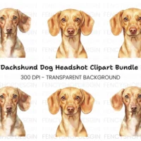 Kit Digital Cute Dachshund Dog Clipart Bundle