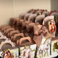 Festa Pronta Haras Meninos
