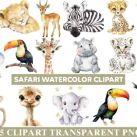 Safari Clipart