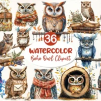 Boho Owl Clipart Bundle