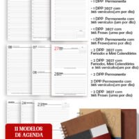 Modelos de Agendas e Permanente Masculina com 5 Modelos de Capa