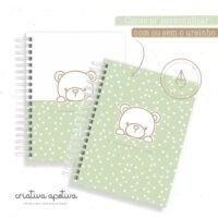 Acompanhamento Urso Baby Verde 2