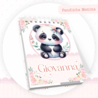 Panda Menina Pack Baby Caderneta + Mesversário + Memórias + Cartão Sus