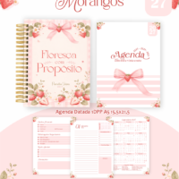 Pack Encadernação , Agenda, Planner, Calendário 58) Morangos