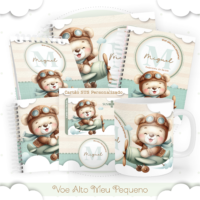 Voe Alto Meu Pequeno Pack Baby Caderneta + Mesversário + Memórias + Cartão Sus