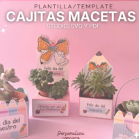 Cajitas para Macetas