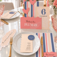 Festa Pronta Bodas de Plumas