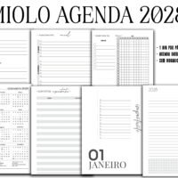 Miolo Agenda 2028