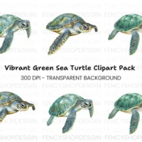 Oceanic Green Turtle Clipart Bundle