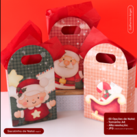 Sacolinha Natal 01