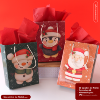 Sacolinha Natal 04