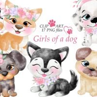 Kit Digital Grils Dogs