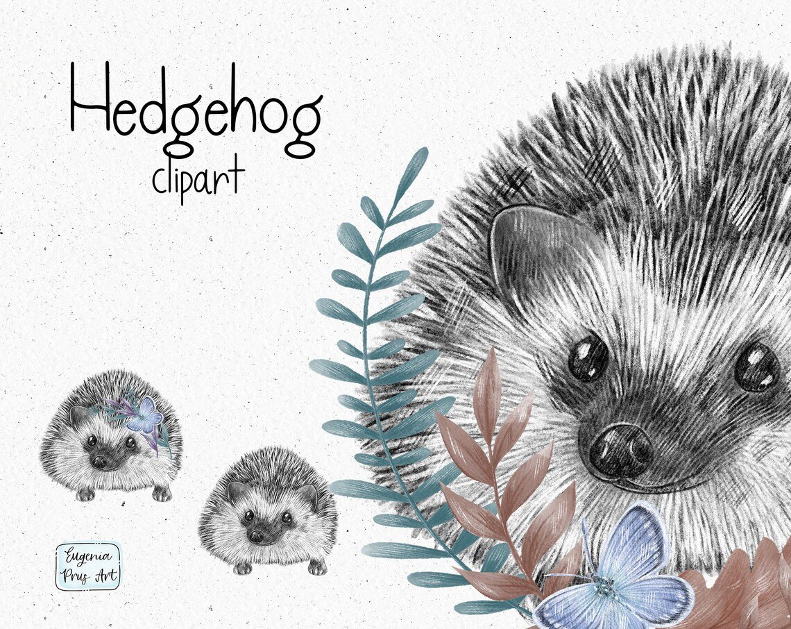 Kit-Digital-Ouricos-Fofo-Kawaii-Clipart-PNG-002 Kit Digital Ouriços Fofo Kawaii Clipart PNG 002 - Imagem 1