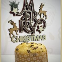 Arquivo de Corte Topo de Bolo 22083 Natal 24